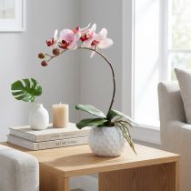 Itens Orquídea rosa em vaso de cerâmica 31cm