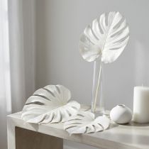 Itens Folhas de Monstera branqueadas, folha decorativa para janela, 40 cm de altura, 5 peças