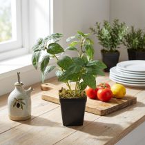 Itens Manjericão Artificial em Vaso Ervas em Verde H22cm