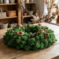 Itens Musgo Decorativo Verde Musgo Islandês Musgo Preservado para Artesanato 400g