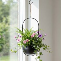 Itens Cesta de suspensão de metal cesta de flores de zinco preto Ø15cm