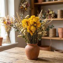 Itens Ramo de flores secas de helichrysum amarelo (Helichrysum), 100g