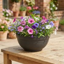 Itens R-bowl plástico antracite 19cm, 10 peças