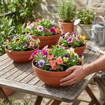 Itens R-bowl plástico terracota Ø 13cm - 19cm, 10 unidades
