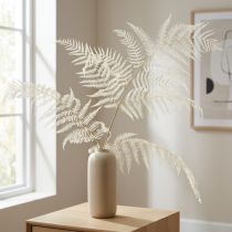 Itens Decoração de samambaia seca Samambaia branqueada Alt.75cm 10 unidades