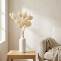 Itens Flores secas creme funcho branqueado 45 cm buquê 10 unidades