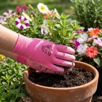 Itens Kixx luvas de jardim tamanho 7 rosa, rosa