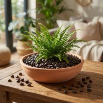 Itens Pedras decorativas 9mm - 13mm café 2kg