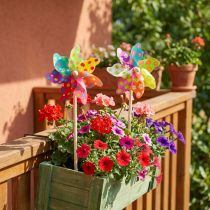 Itens Cata-vento Colorido Moinho Flores Pontos Varanda Ø15cm 2pcs