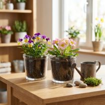 Itens Vaso de flores em vidro transparente Ø11cm Alt.10,5cm 2 unidades