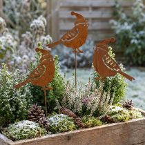 Itens Estaca de jardim pássaro com chapéu decoração pátina 12cm 6 un