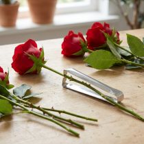 Itens Dethorner de rosas dethorner de prata clássico para rosas 13cm