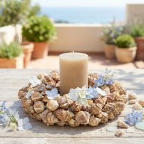 Itens Guirlanda de concha decoração de parede guirlanda decorativa natural para pendurar Ø35cm