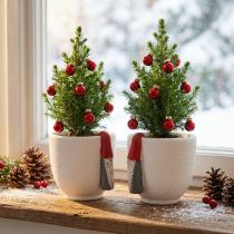 Itens Pote de Natal com gnomo, decoração do advento, vaso de concreto branco, vermelho Ø8cm A12,5cm 2 unidades