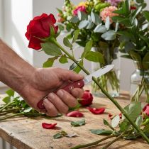 Itens Faca de florista Victorinox