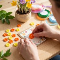 Itens Botões decorativos Ø1,5cm coloridos 200 unidades