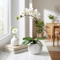 Itens Creme Phalaenopsis em pote de cerâmica 33cm