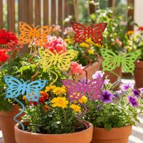 Itens Plug flor borboleta colorida 22cm 12 un