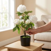 Itens Peônia artificial, peônia em vaso, planta decorativa flores brancas A57cm