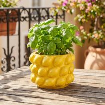 Itens Vaso de flores em cerâmica amarelo limão Ø18cm Alt.13cm