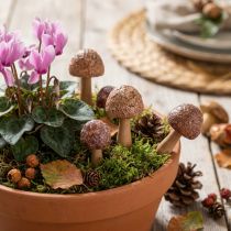 Itens Estacas decorativas de madeira para arranjos florais, com design de cogumelo, na cor marrom, com 2,5 cm de diâmetro, pacote com 8 peças.