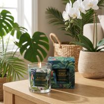 Itens Vela perfumada em recipiente de vidro Vela Pepino-Eucalipto Verde Ø7cm