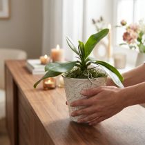 Itens Folhas de orquídea com raízes aéreas artificiais 34x8x18cm