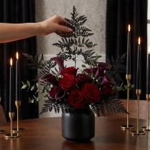 Itens Decoração de samambaia, frondes de samambaia reais, pretas, preservadas, 45 cm, 10 peças