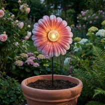 Itens Luz solar LED para jardim de flores LED Metal Rosa Ø30cm
