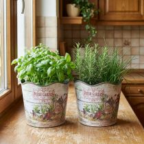 Itens Vaso de ervas vaso de flores plástico Fresh Garden H13.5cm 2 peças