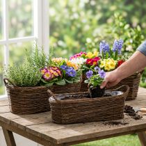 Itens Cesto para plantas com alças, oval marrom 57/50/42cm, conjunto de 3