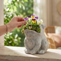 Itens Vaso decorativo sapo vaso de flores concreto cinza H18,5cm