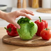 Itens Alface iceberg artificial Real-Touch Ø12cm