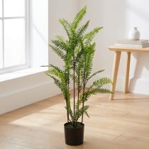 Itens Samambaia em vaso verde 80cm