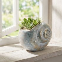 Itens Vaso decorativo em formato de caracol para decoração de parede com temas marítimos e naturais, cinza, 21 cm