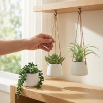 Itens Cestos suspensos suculentas verdes artificiais sortidas 18cm 3 unidades