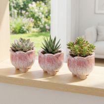 Itens Mini plantador vaso de cerâmica flores sortidas Ø8cm H7cm 3pcs