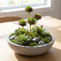 Itens Picareta suculenta verde / marrom 35,5 cm