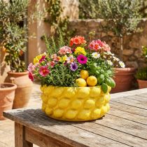 Itens Plantador de tigela de cerâmica limão amarelo Ø26cm Alt.12cm