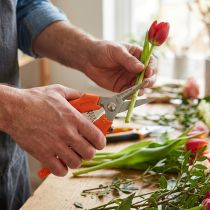 Itens Tesoura de florista para cortes precisos e trabalhos florais.