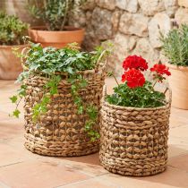 Itens Conjunto de 2 cestos para plantas feitos de erva-marinha e jacinto-d'água Ø31/26cm - cesto decorativo, cesto para flores, organizador, ecológico, natural