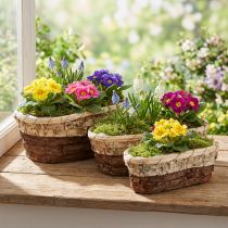 Itens Bandeja para plantas, madeira natural, 3 cores, C29,5/25/23cm, conjunto de 3