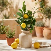 Itens Galhos decorativos, limões e azeitonas artificiais, vaso mediterrâneo de 50 cm, decoração de verão.