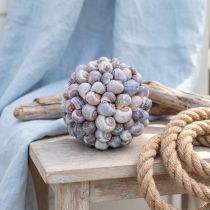 Itens Esfera decorativa com design de concha, decoração marítima natural, Ø19cm