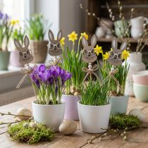 Itens Plugue de flor coelho com óculos plugue decorativo madeira 4×7,5cm 12 peças