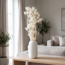 Itens Buquê de flores de nigela secas, elegante decoração natural para interiores exclusivos, 70 cm, 50 g