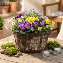 Itens Vaso de flores em casca de bétula com desenho de trepadeira natural, Ø28cm, A15cm, floreira