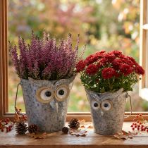 Itens Vaso decorativo coruja balde zinco com alça Ø15/19cm conjunto de 2