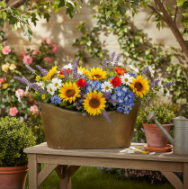 Itens Conjunto de vasos e floreiras para plantas, cor cobre/branco, C32,5cm/36,5cm/41,5cm