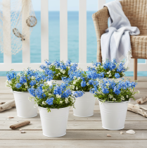 Itens Baldes de lata branca Ø14cm A12cm, 6 unidades